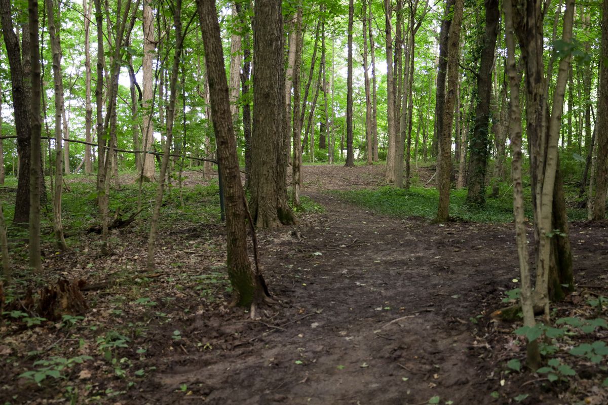 Hole 15 - long tee