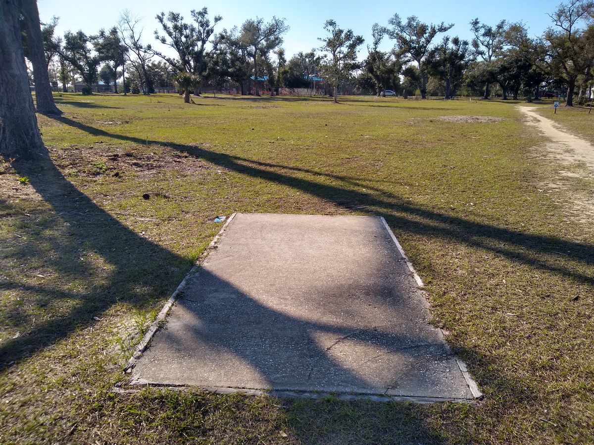 #3, par 3, 219ft (walkway on rt is out of bounds)