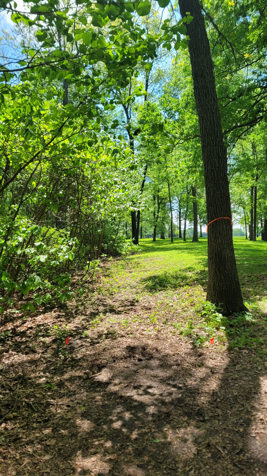 Hole 14 - dog leg left - looks further than it is, slightly uphill.