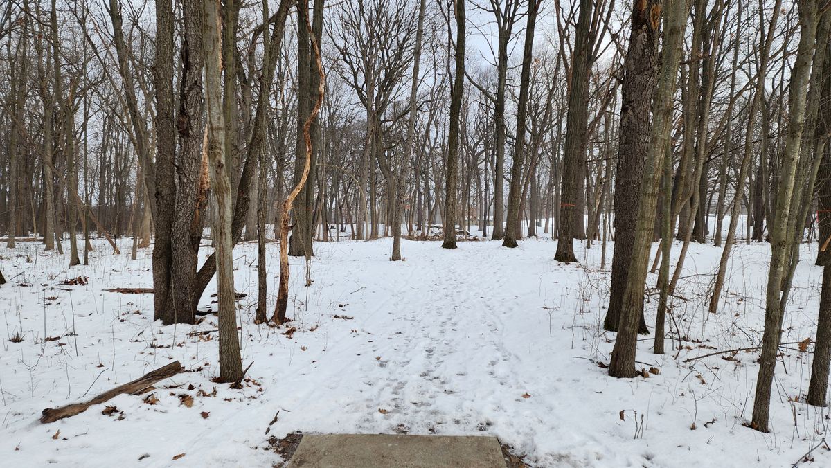 Hole 9, January 2025