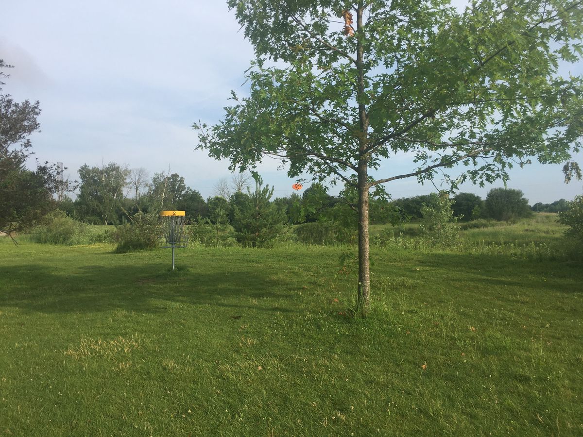 Putting on hole 2 🌱🍀🍃🍀🌱🍃