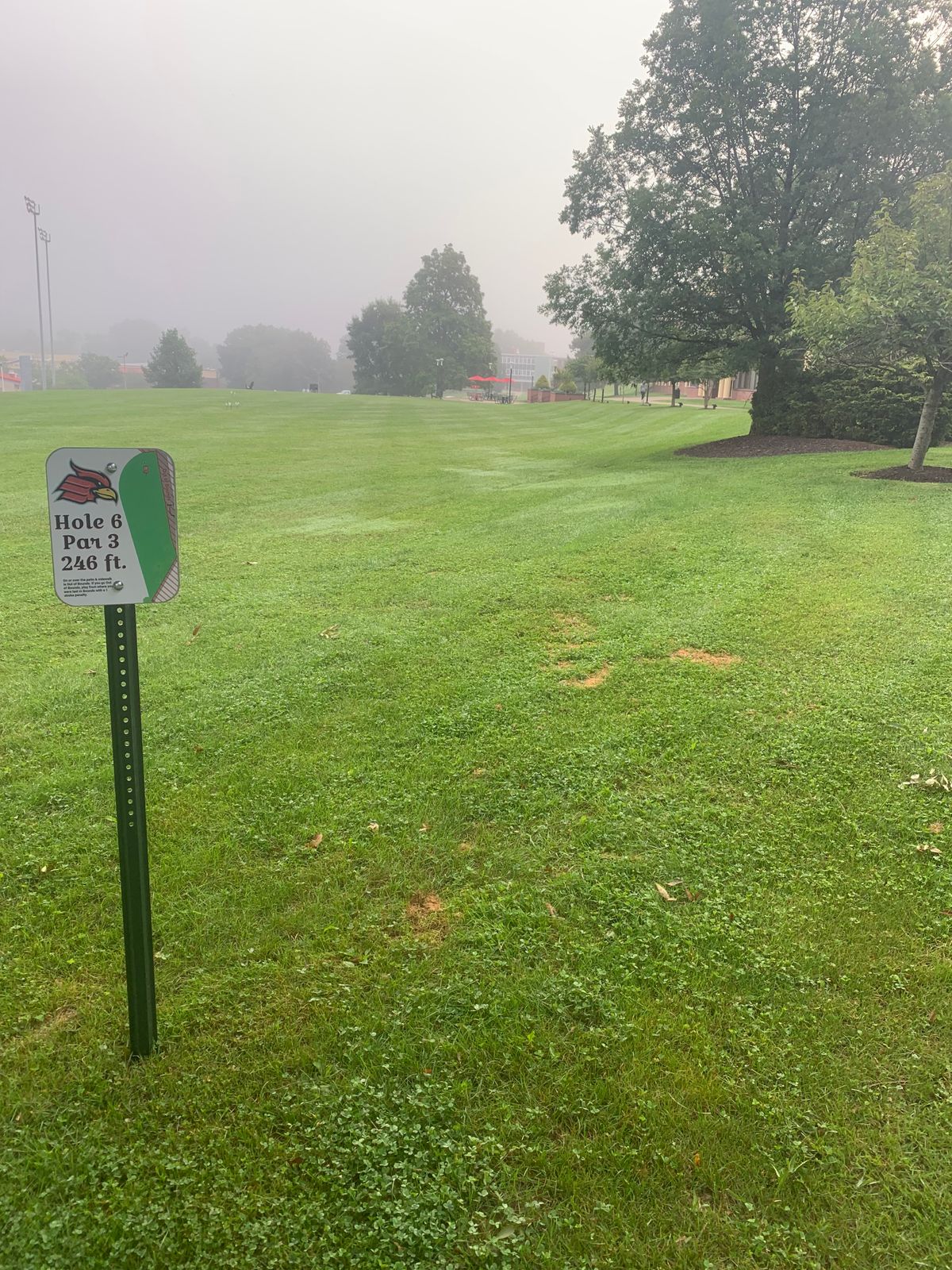 Hole #6 Tee