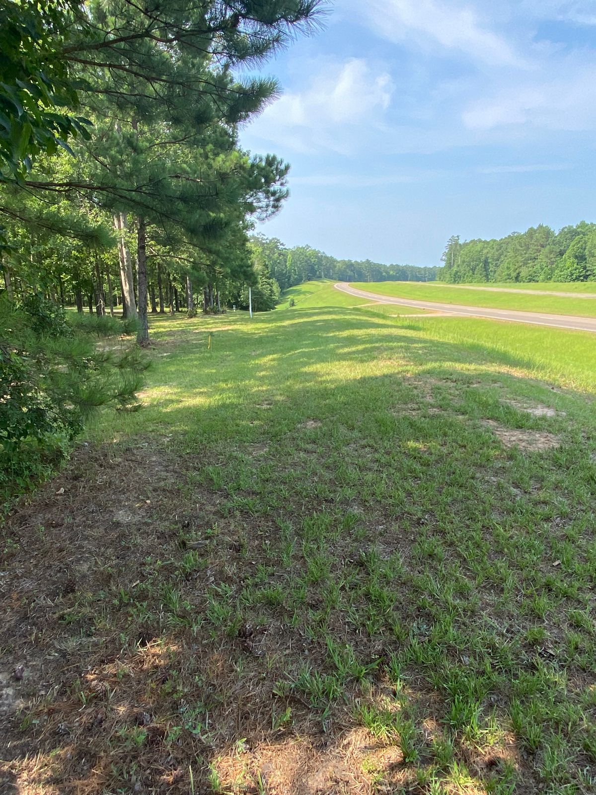 #3 tee pad (Hwy 25 shot)