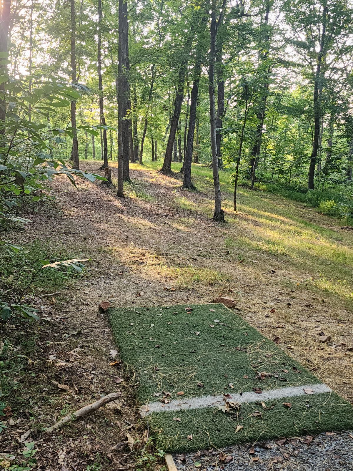 Hole 14
Throw toward basket on hole 5