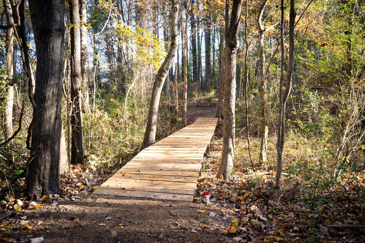 Hole 5 transition bridge.