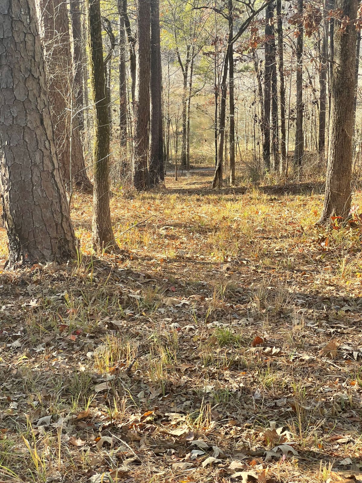 Hole 5