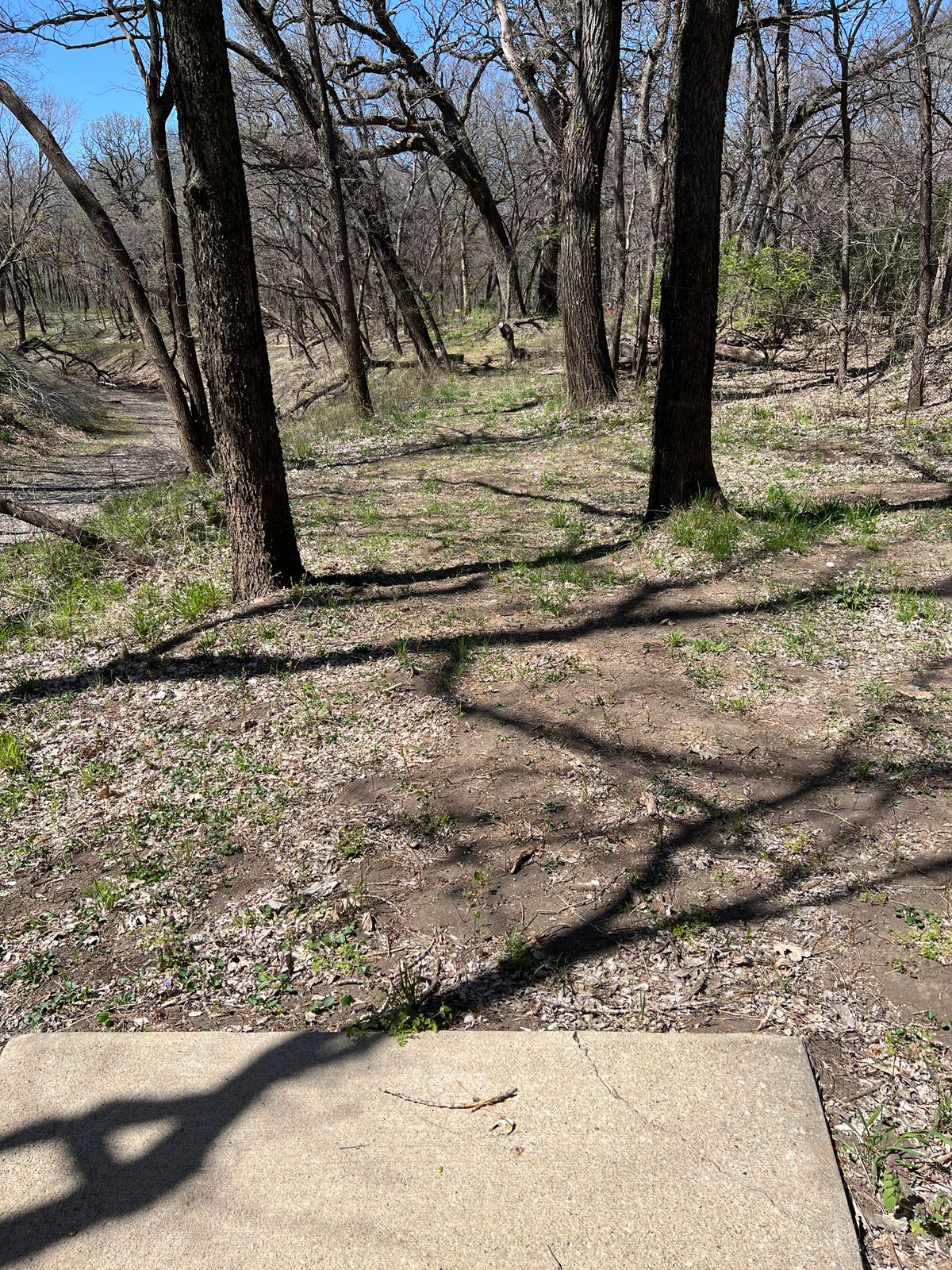 Hole 2
