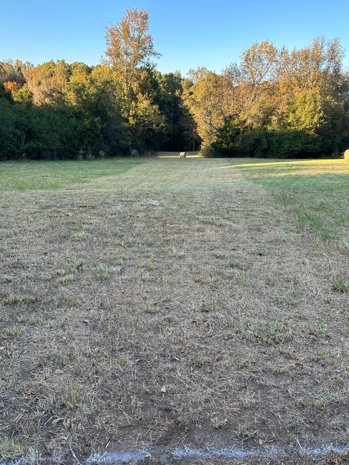 Hole 6 Long Tee