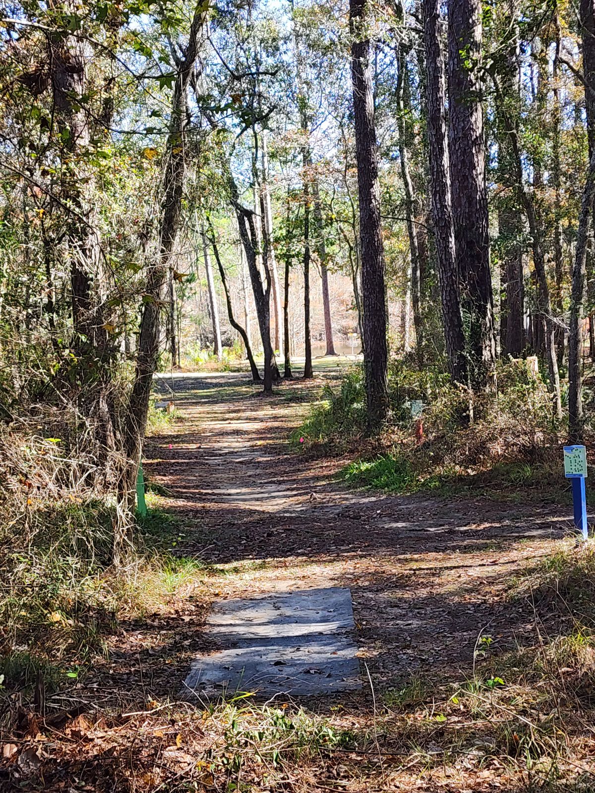 Hole 5
