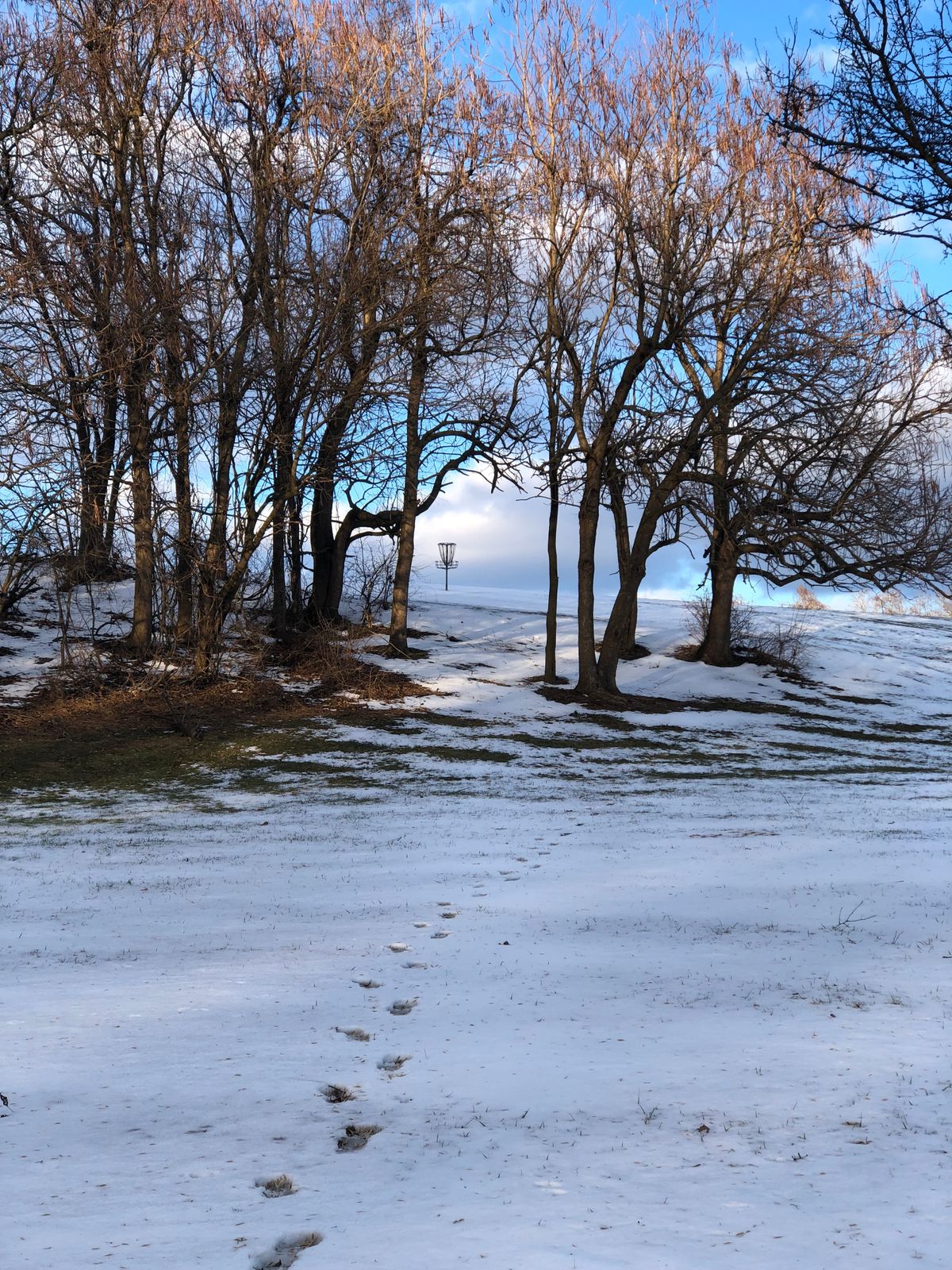 Hole 9 in The snow