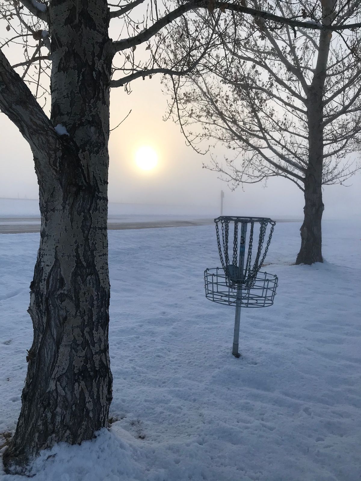 After the fog rolled in