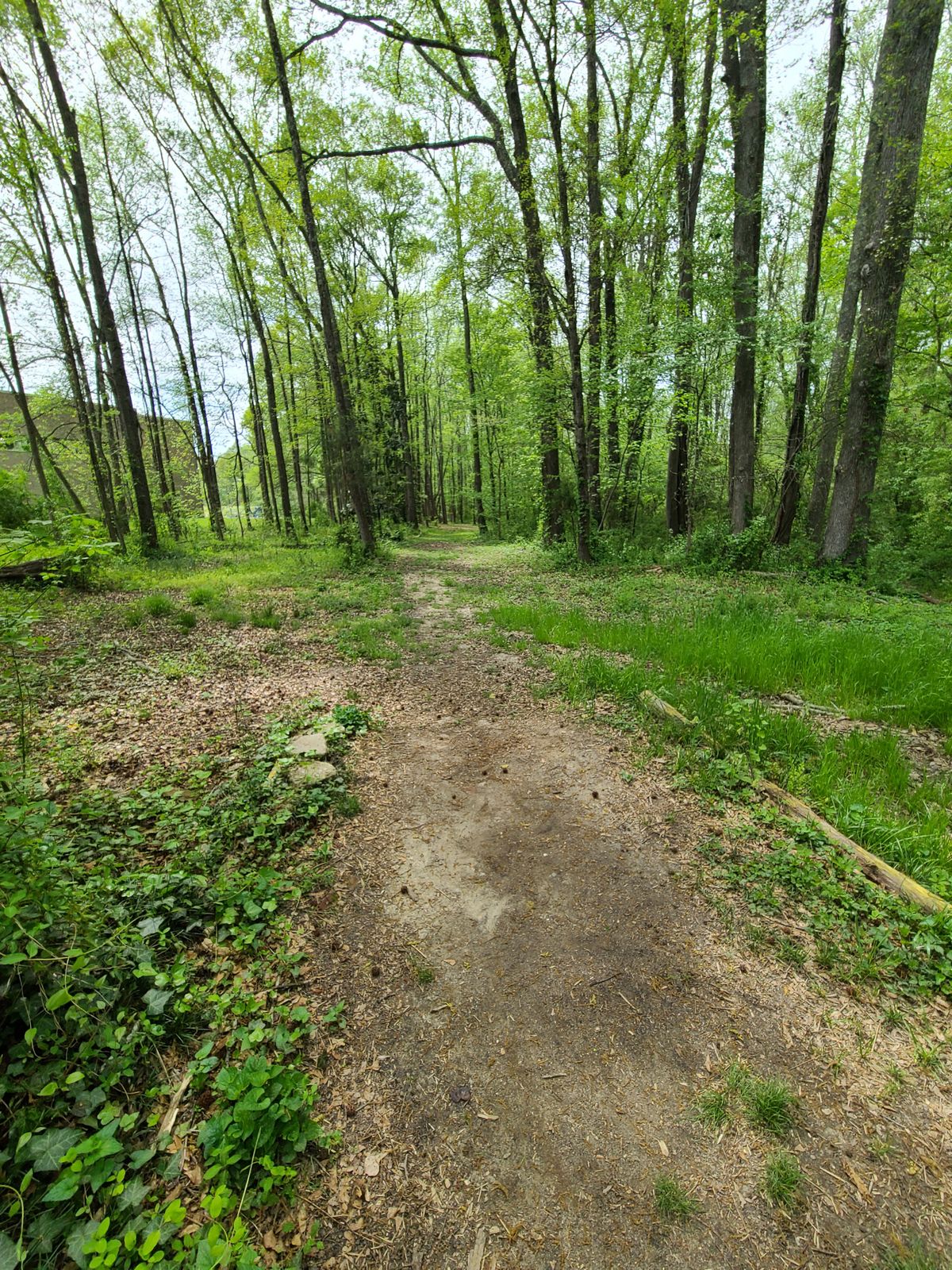 Hole 1 from tee