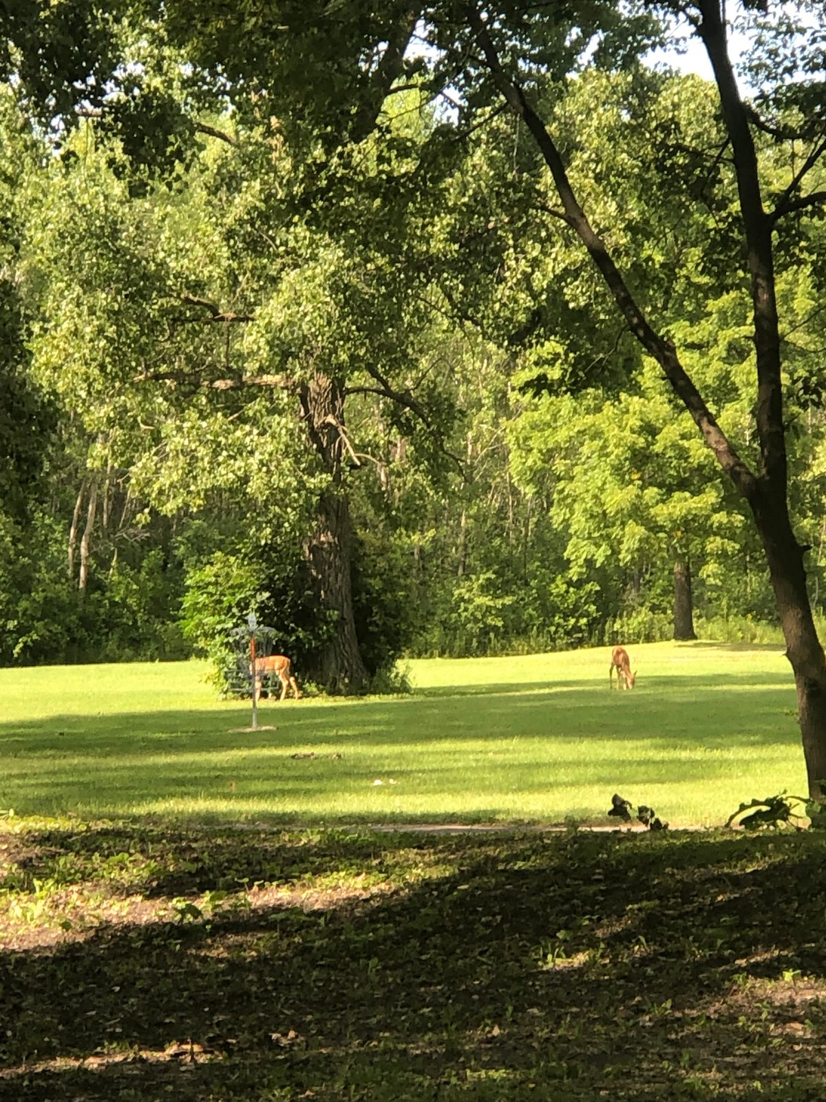 Fairway,  Hole #1