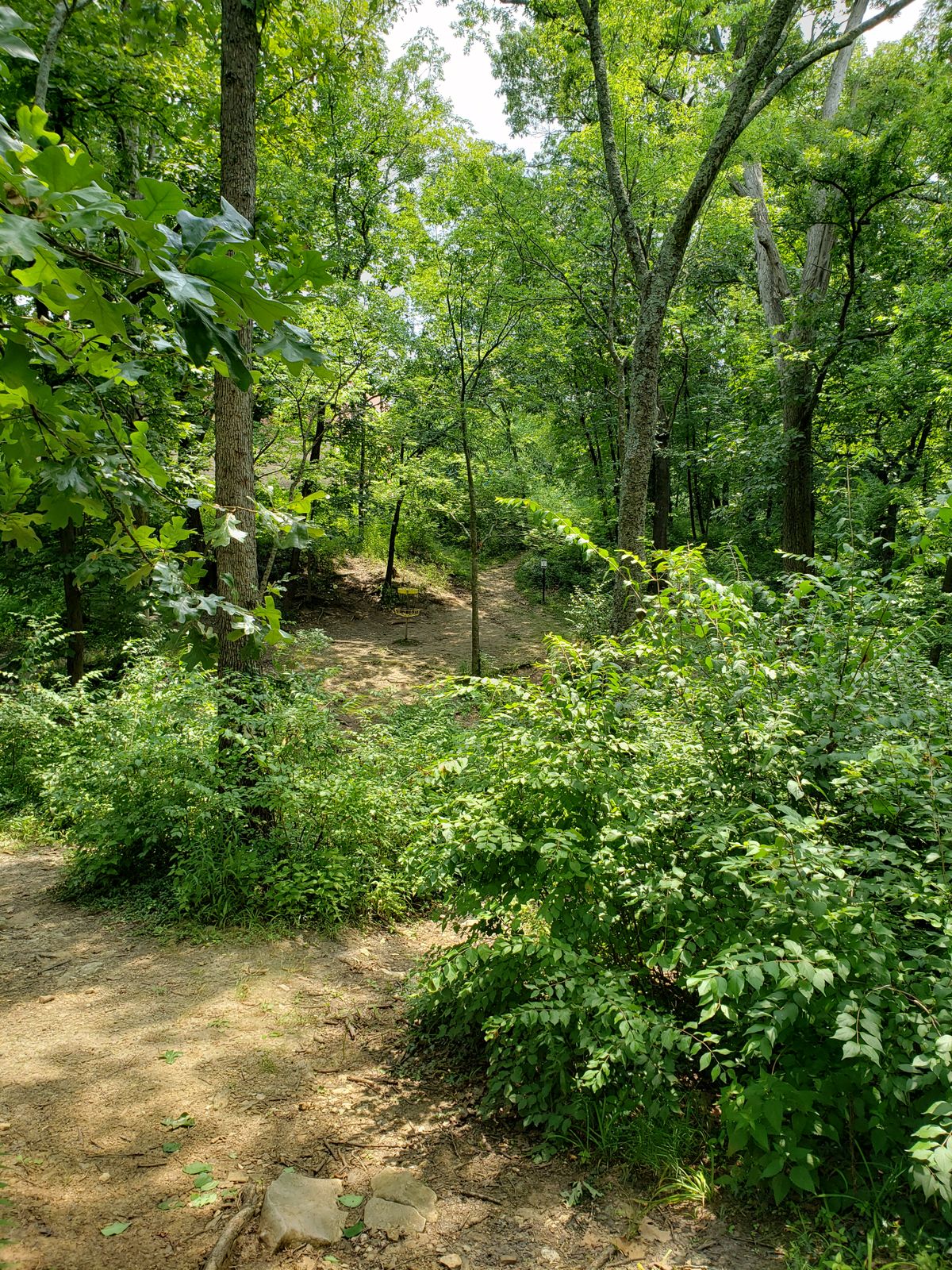 #5 Green Approach