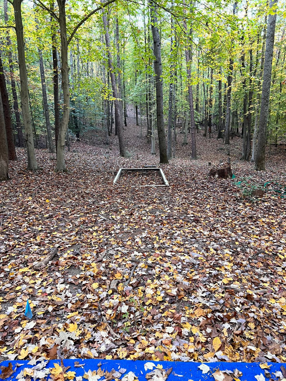 Hole 15