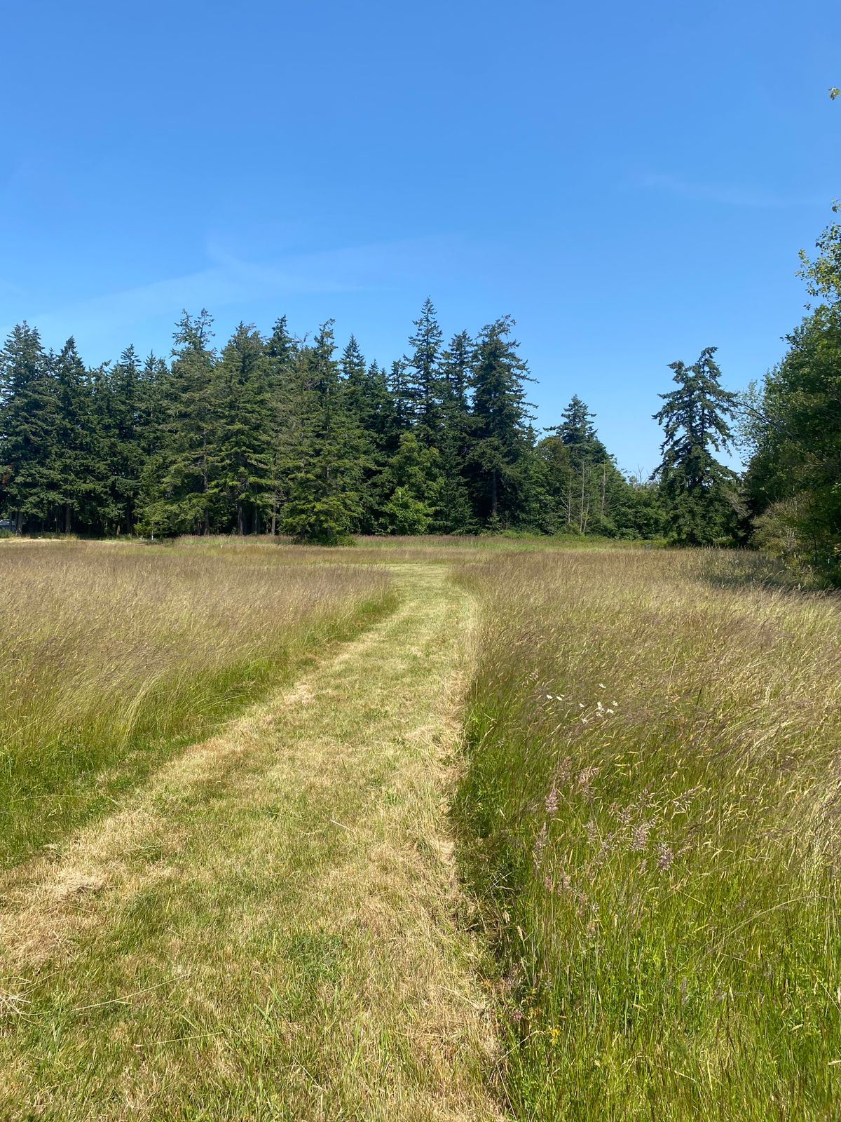 Hole 2