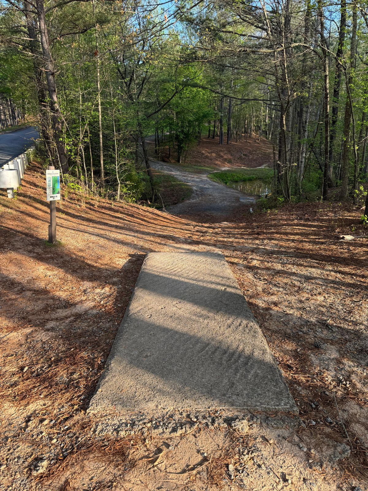 Hole 17