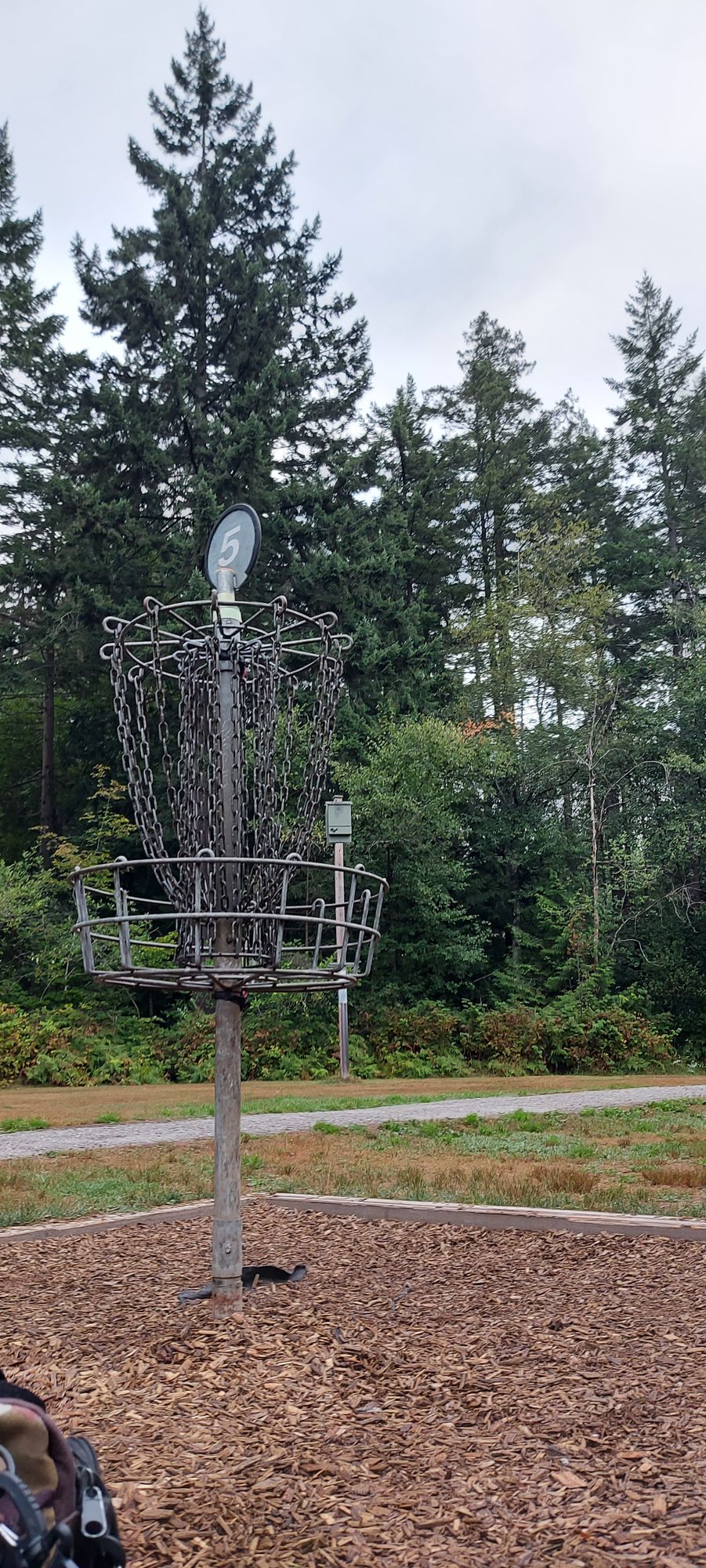 Putting on hole 5.🌲🌲🌲🌲