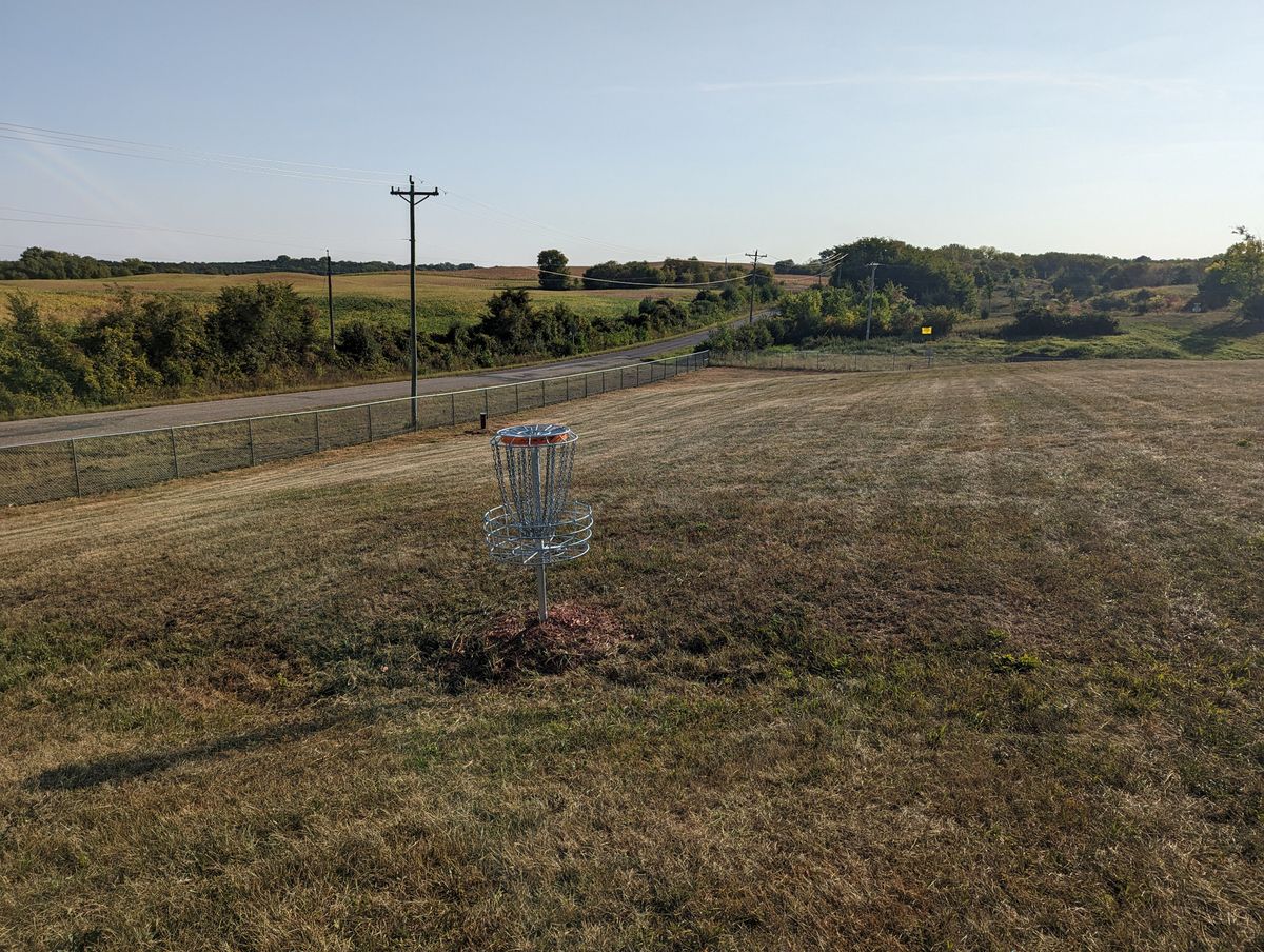 Short Basket