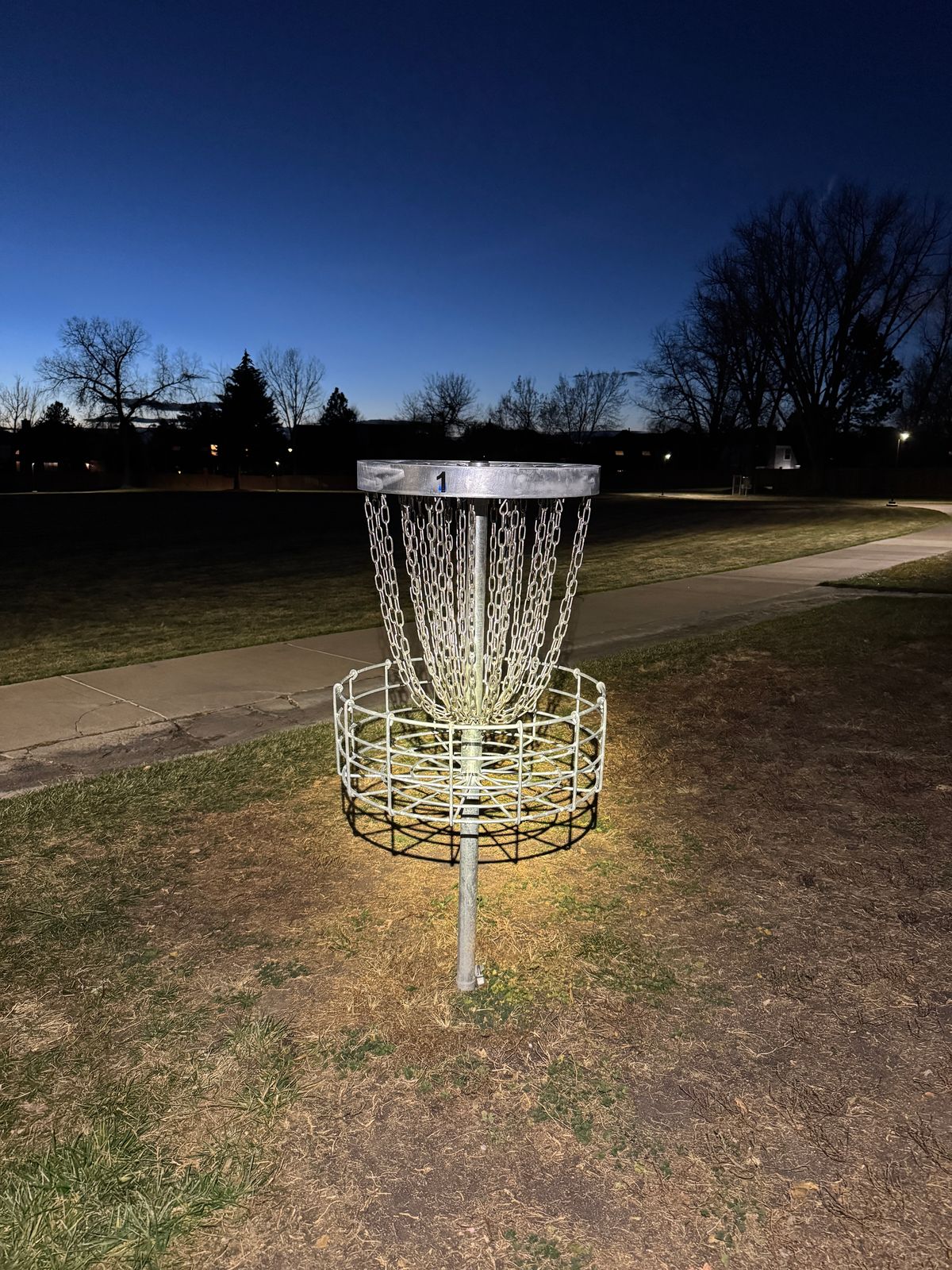 Hole 1’s basket