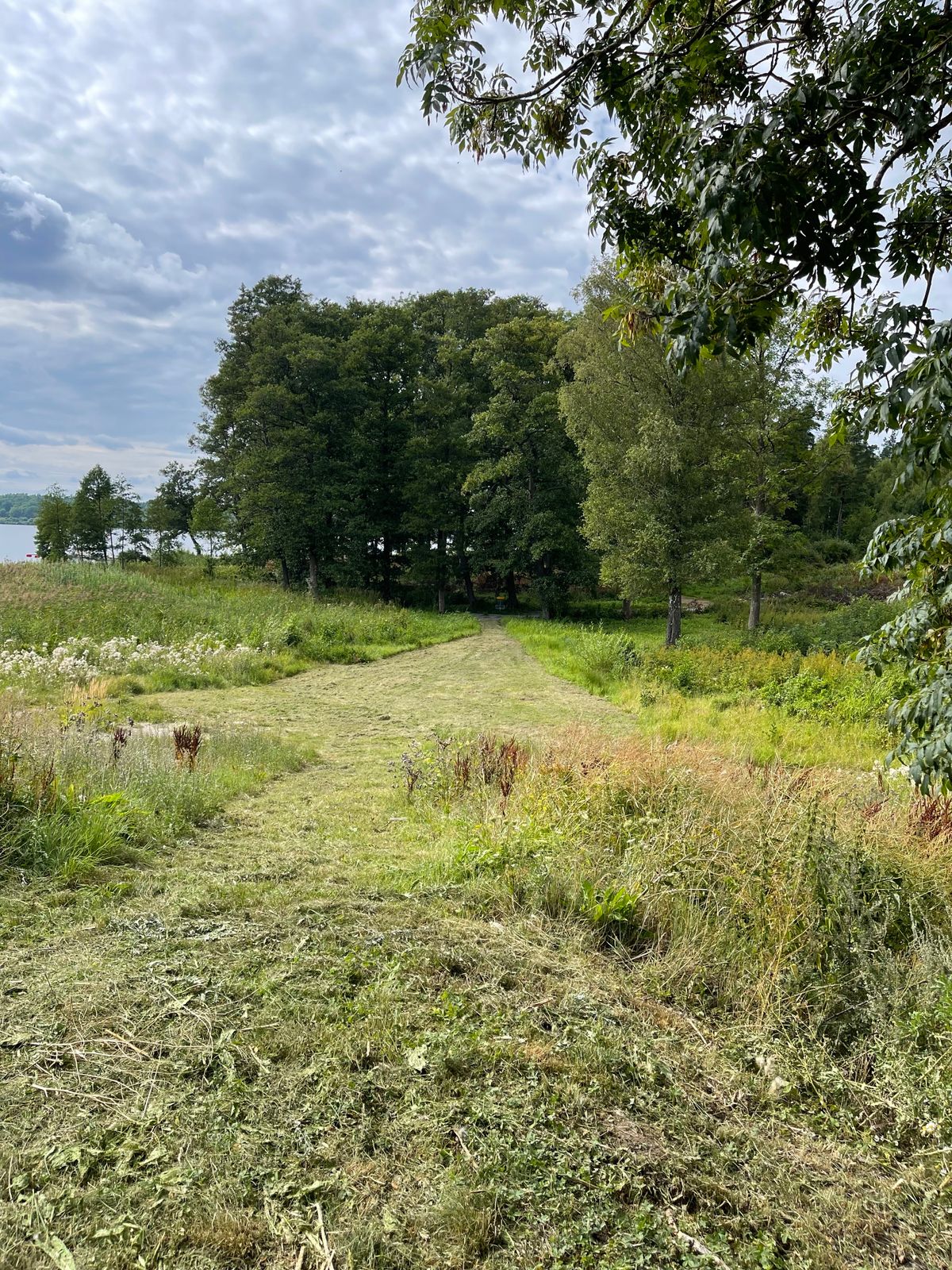Fairway hål 1
