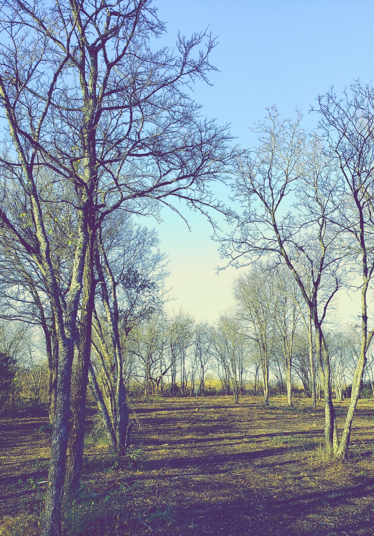 5th Fairway uphill