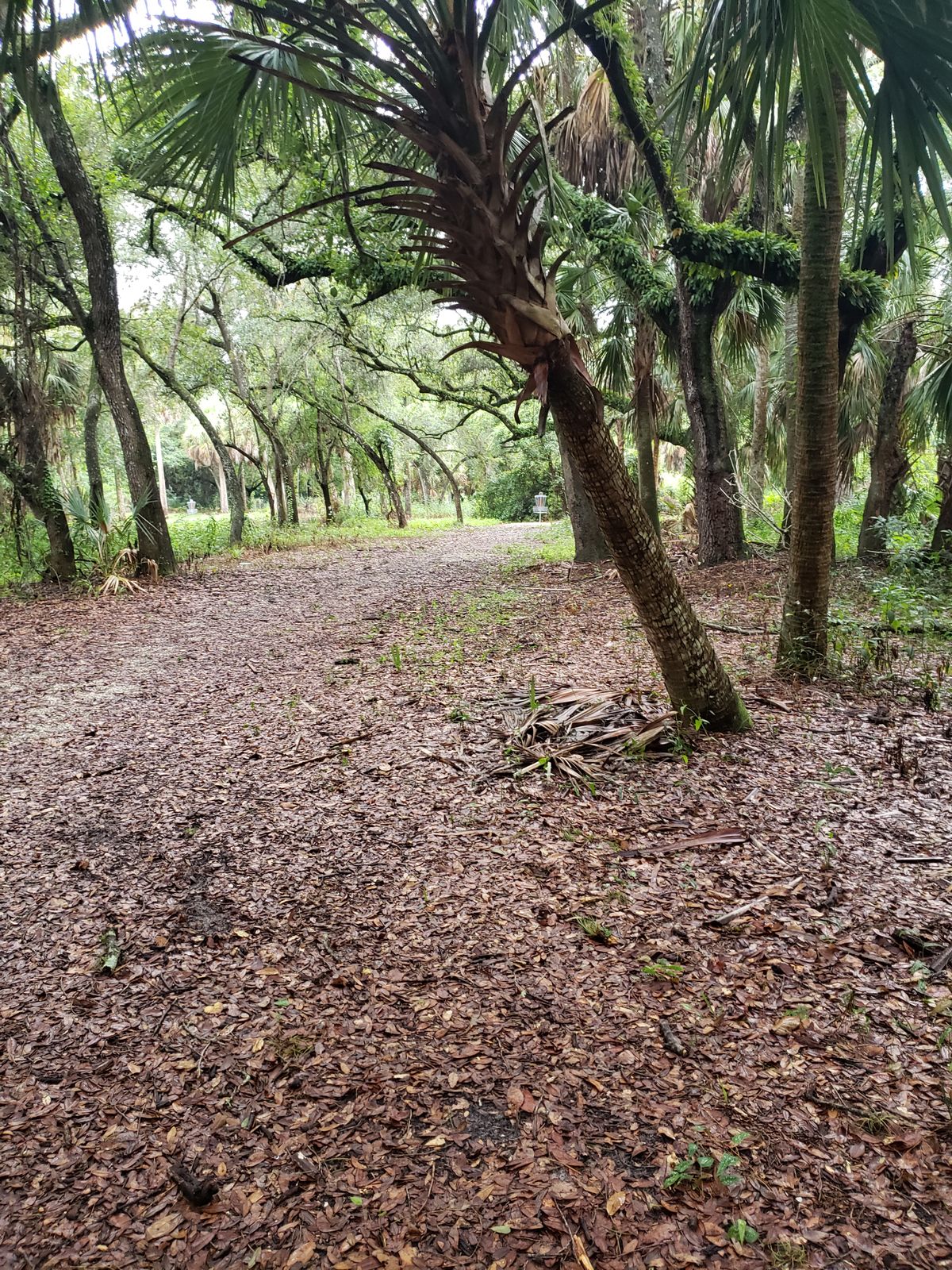 Hole 6 fairway