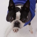 User avatar image