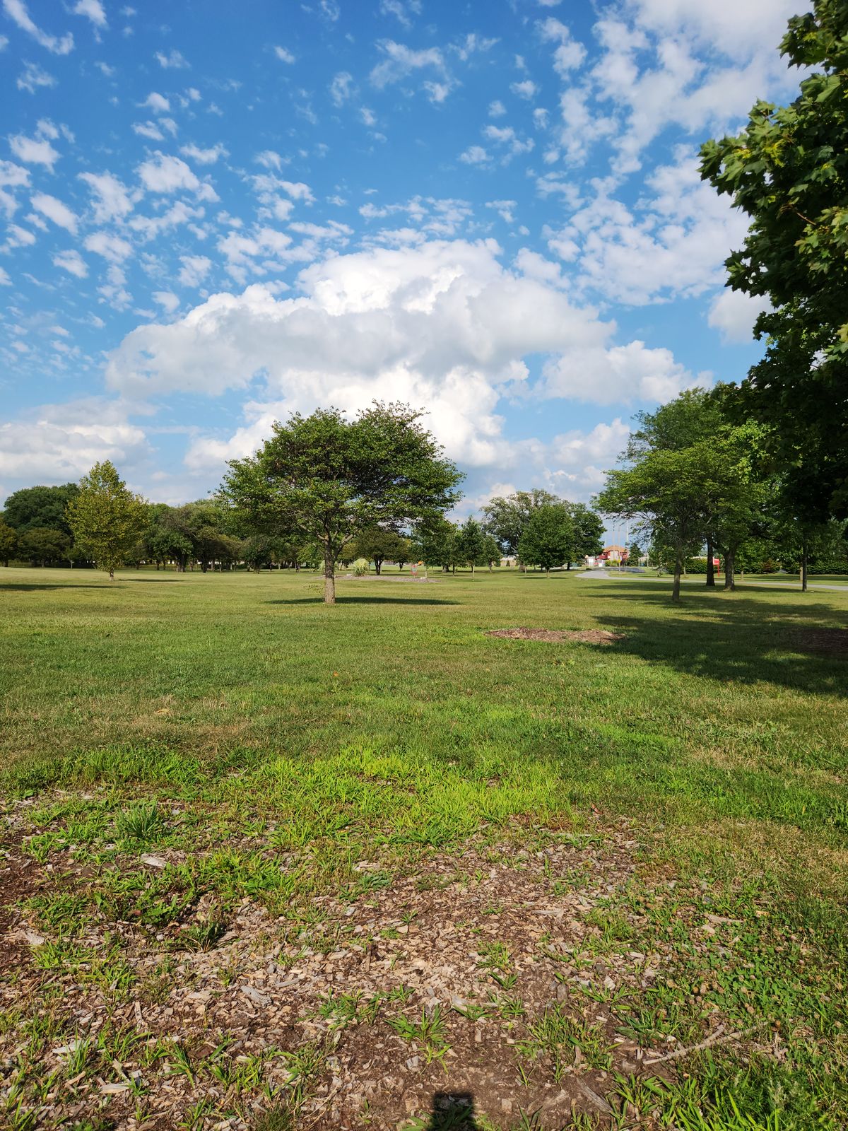View of hole 4 from the tee.