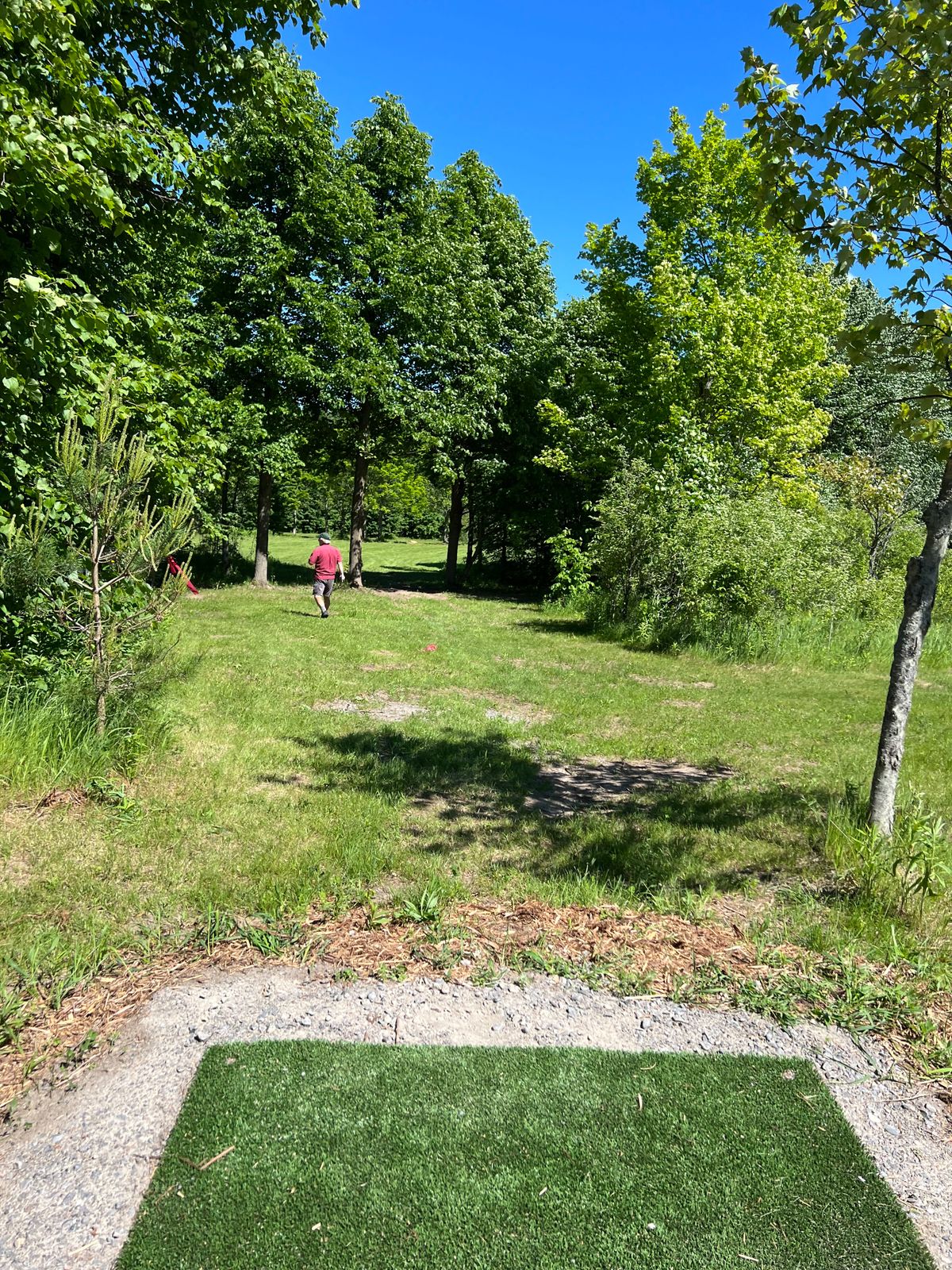 Hole 5, long tee…those trees are getting abused.