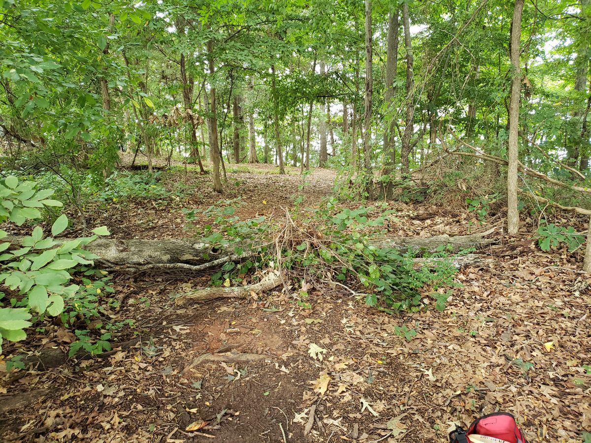 Short cut to #14 obstructed to keep golfers from getting hit by wayward discs.