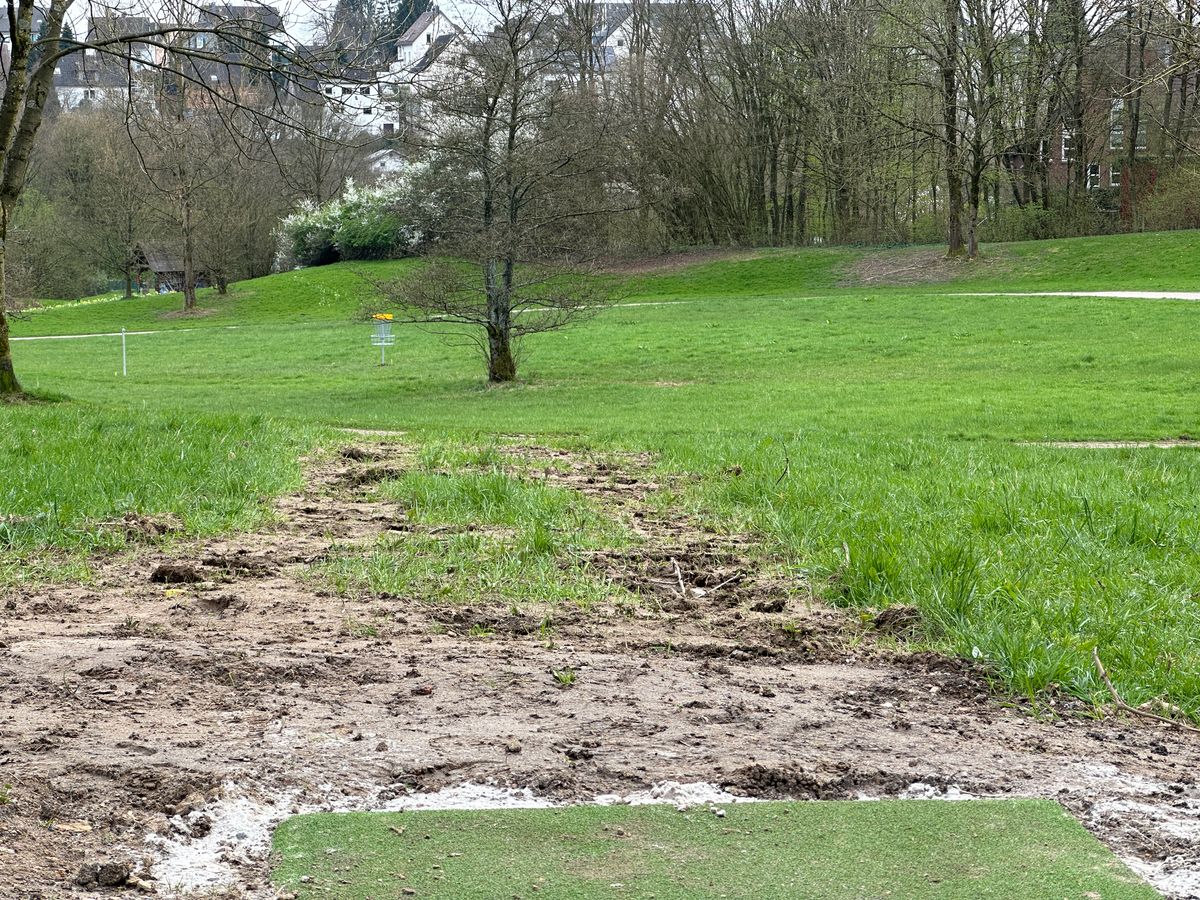 Tee 3