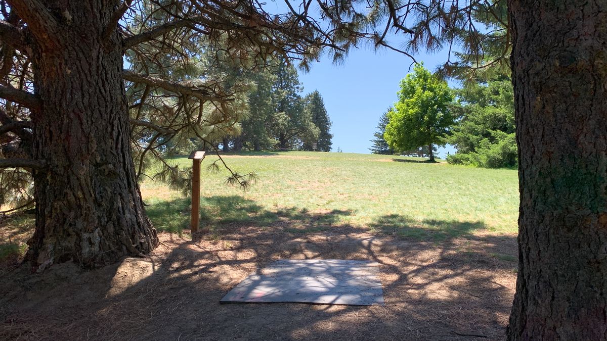 Hole 11