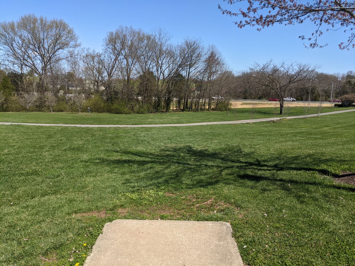 Hole 14 is a fun par 3 that plays downhill the entire length of the hole.  The wide open fairway leads to a couple of gaps in the tree line.  The pin is buried deep in the thick trees.   