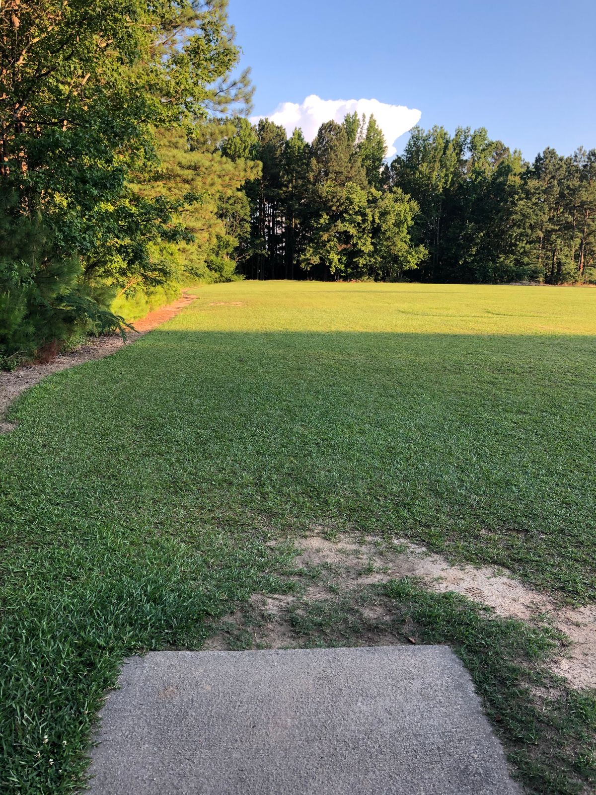 Hole 15 tee.