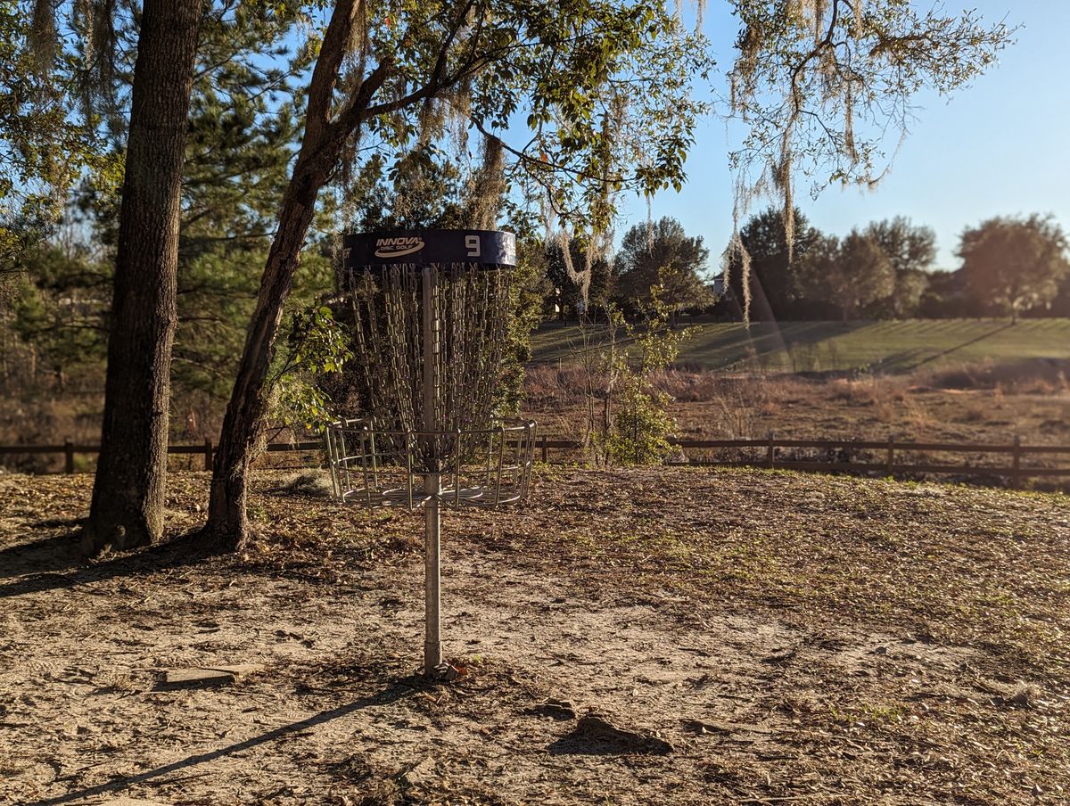 Short basket looking towards the sinkholes