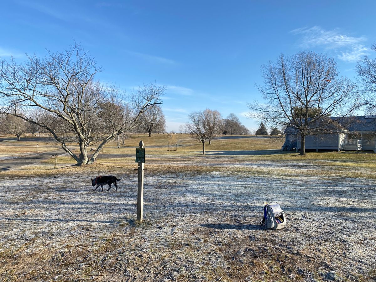 Original #9, unplayable — basket has been removed.