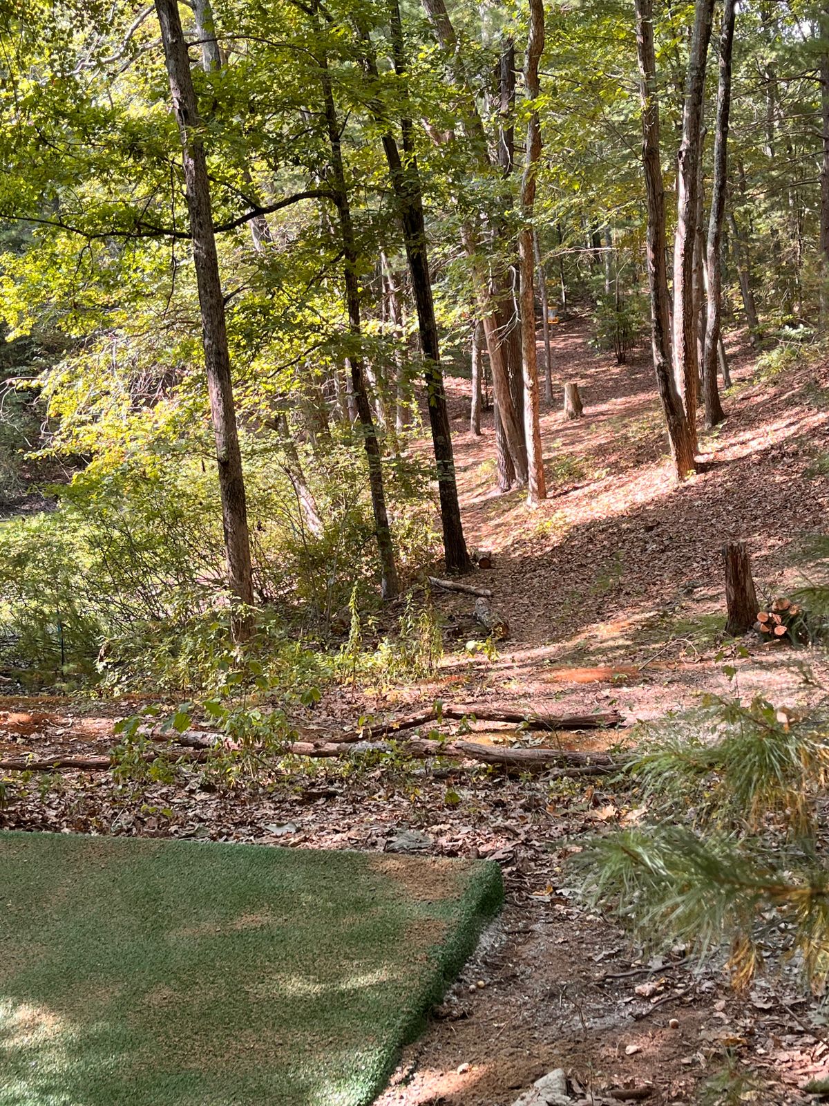 Hole 4