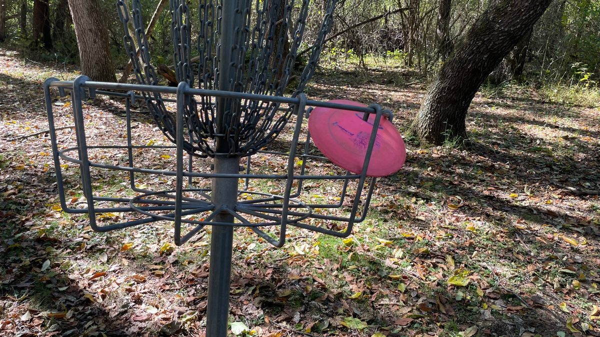 The short baskets are Disccatchers.. And they do!