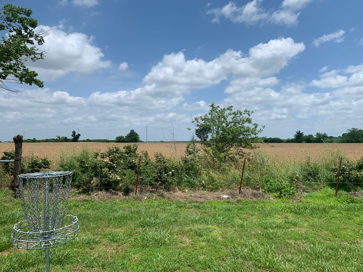 Hole 19 basket