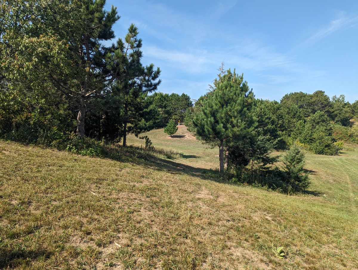 Fairway to Long Basket