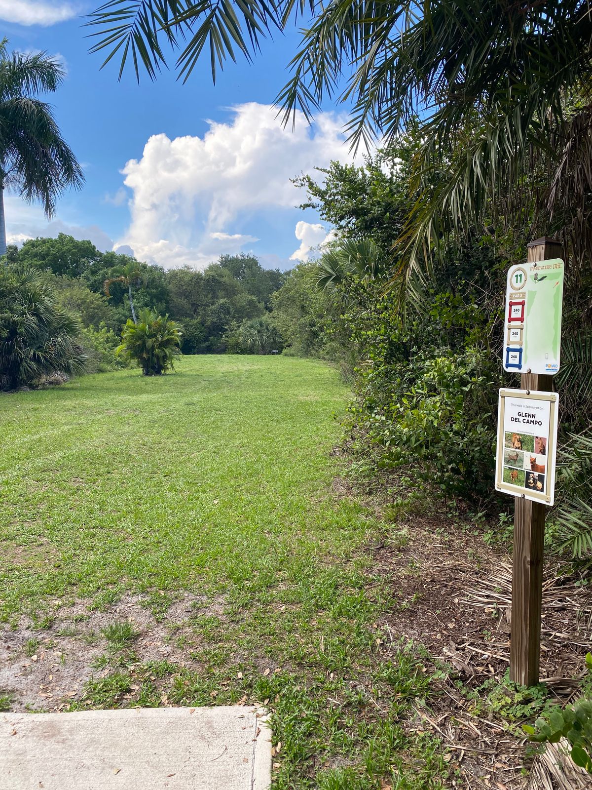 Hole 11 tee pad. Long, short, and rec pads all tee off from same pad. 240ft to basket