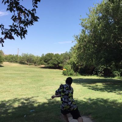 Hole 11. Basket is located on the other side of the field past the big tree on the right.