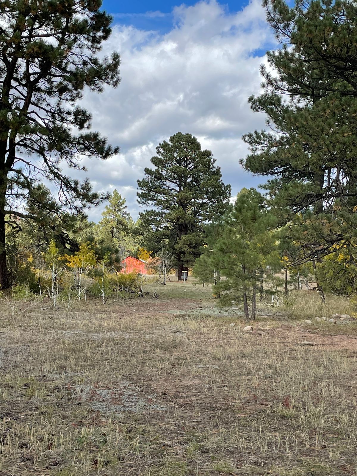Hole 6 fairway Silver Pick Disc Golf Course