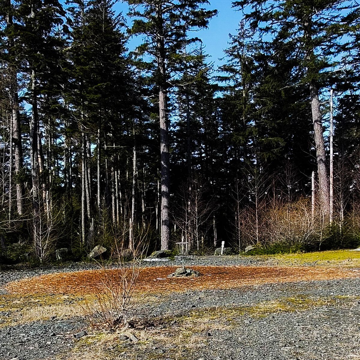 Basket for 1, all layouts, early Spring.