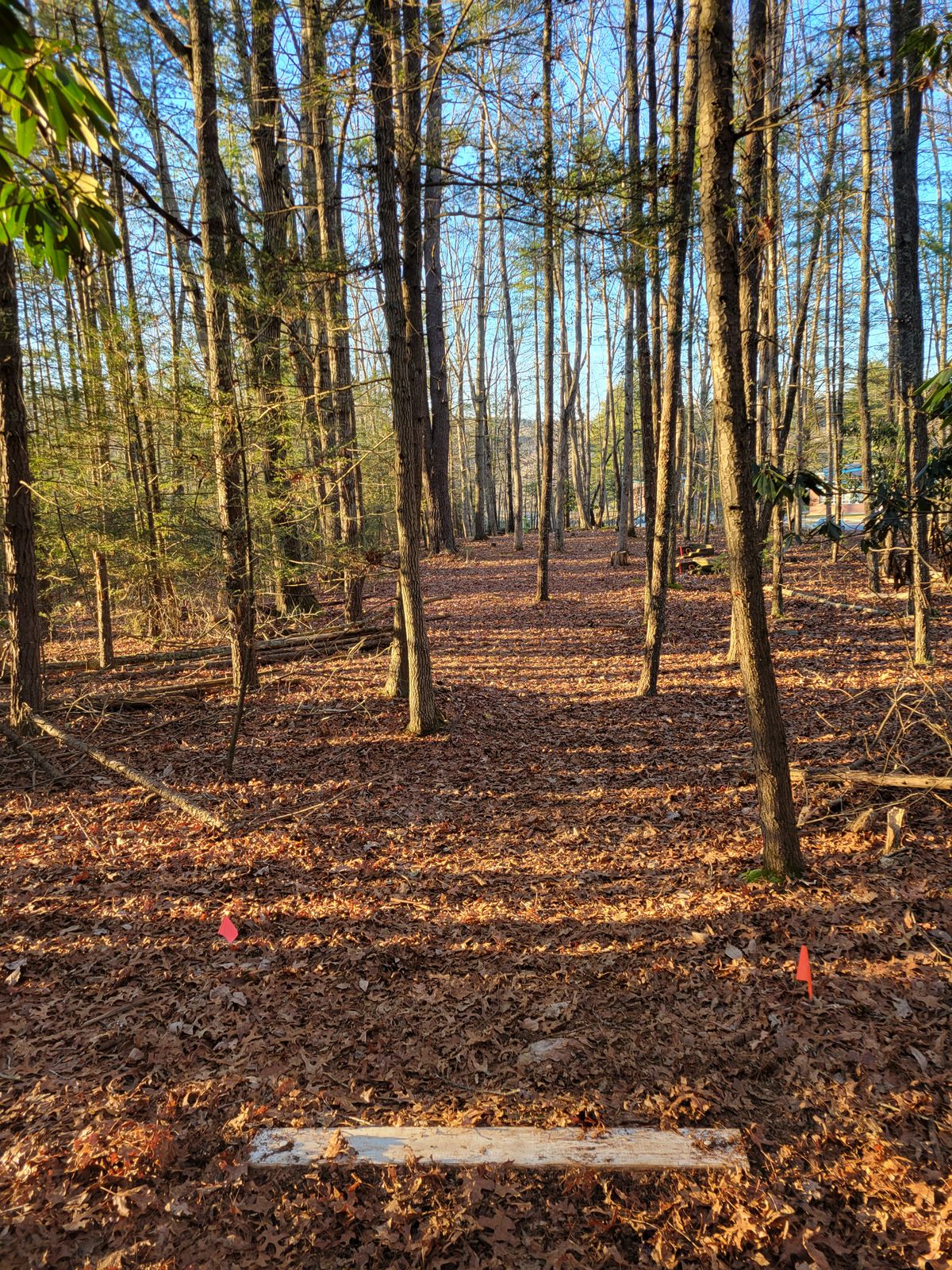 Hole 6