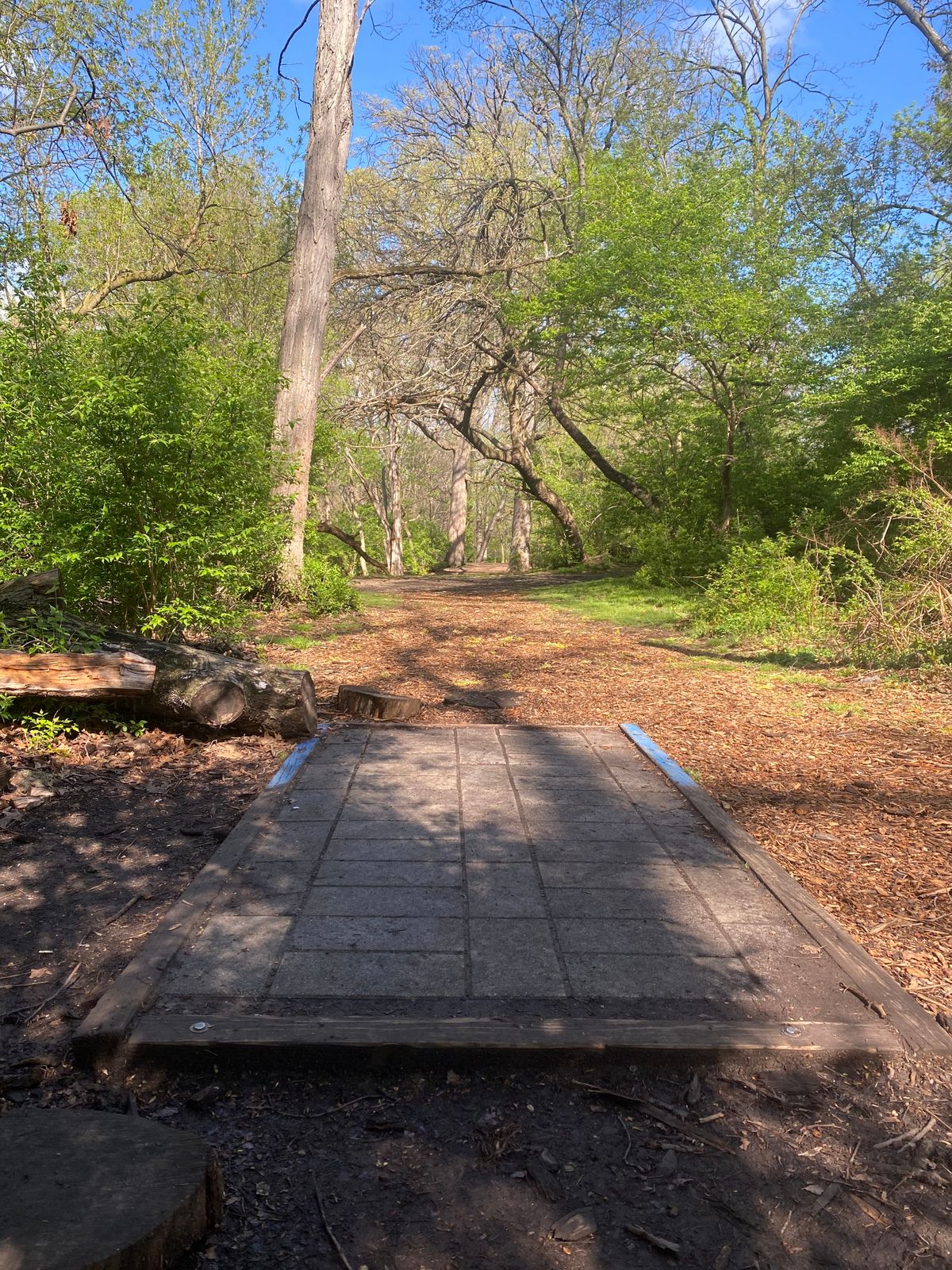Hole 12 Blue