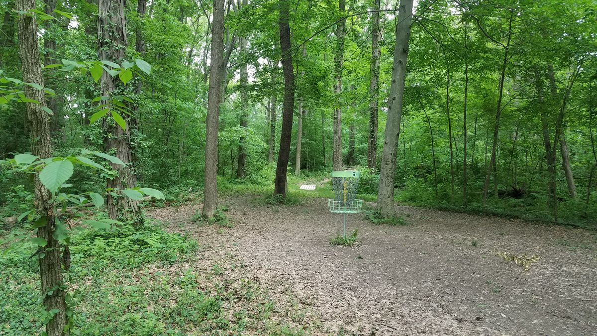 Looking back from the short position