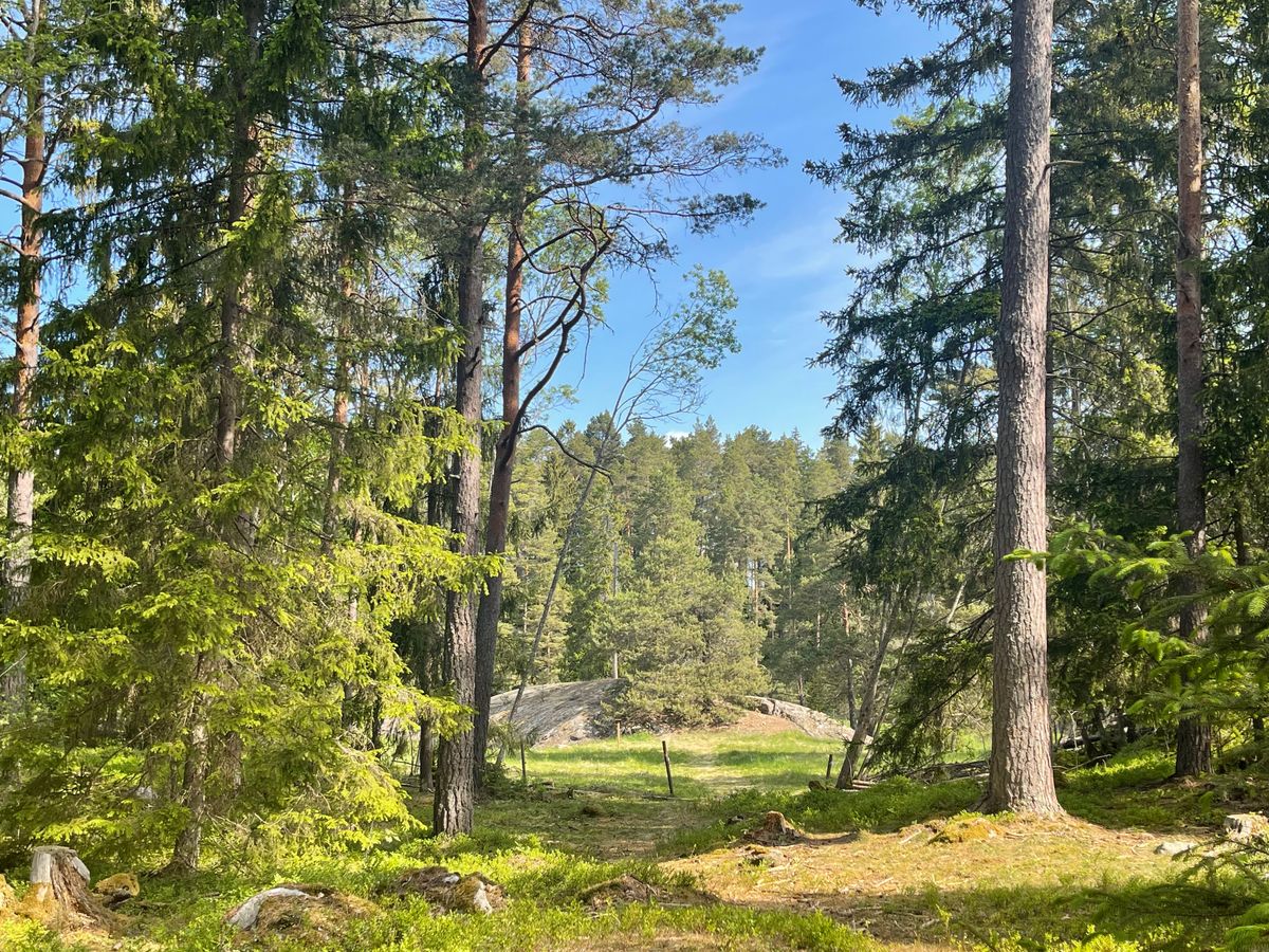Hole 7