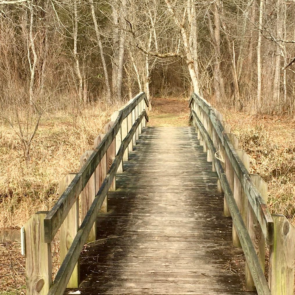 Bridge from 14 pin to 15 short tee.